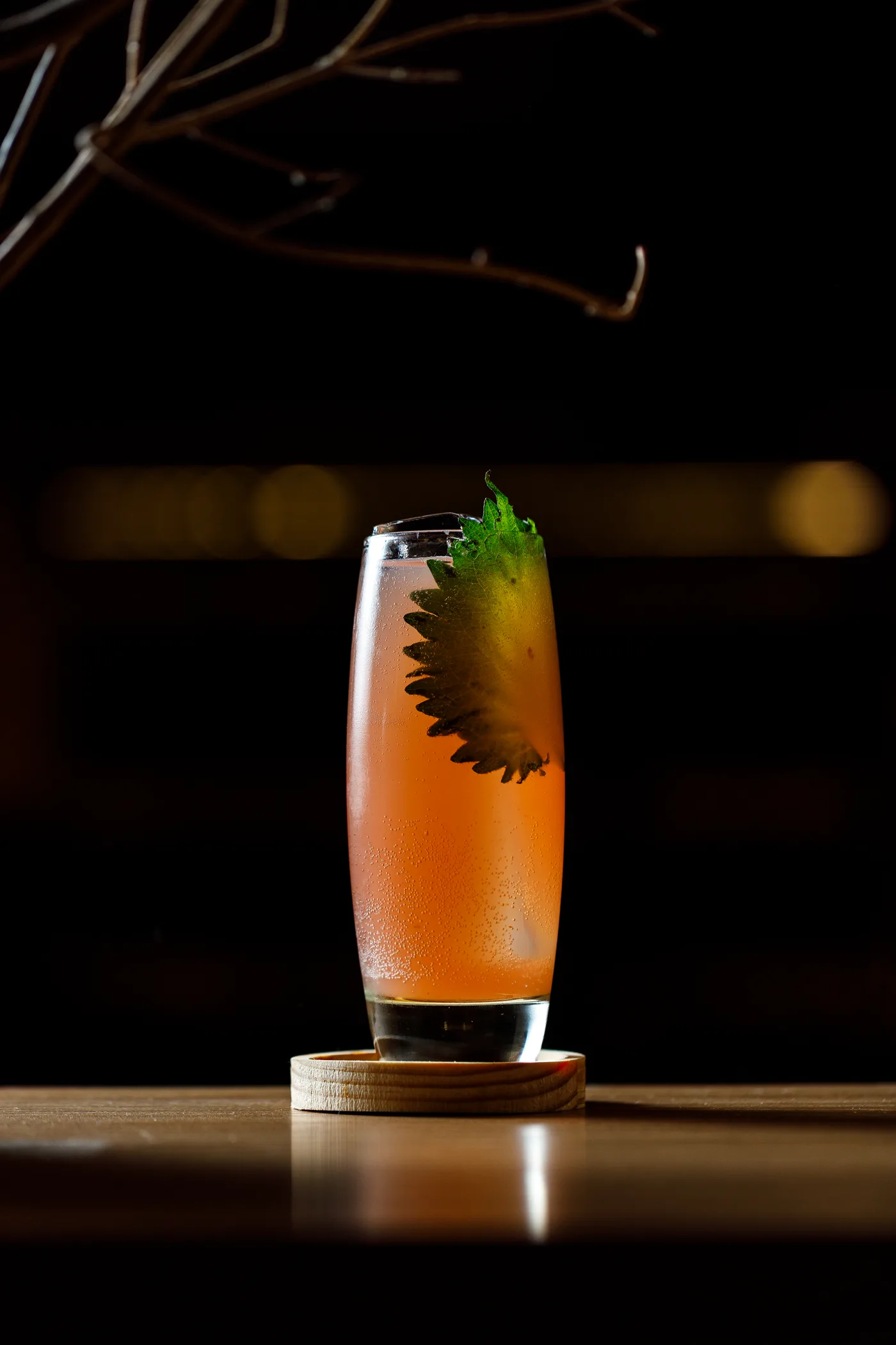 Drinks Mokutan — foto 27