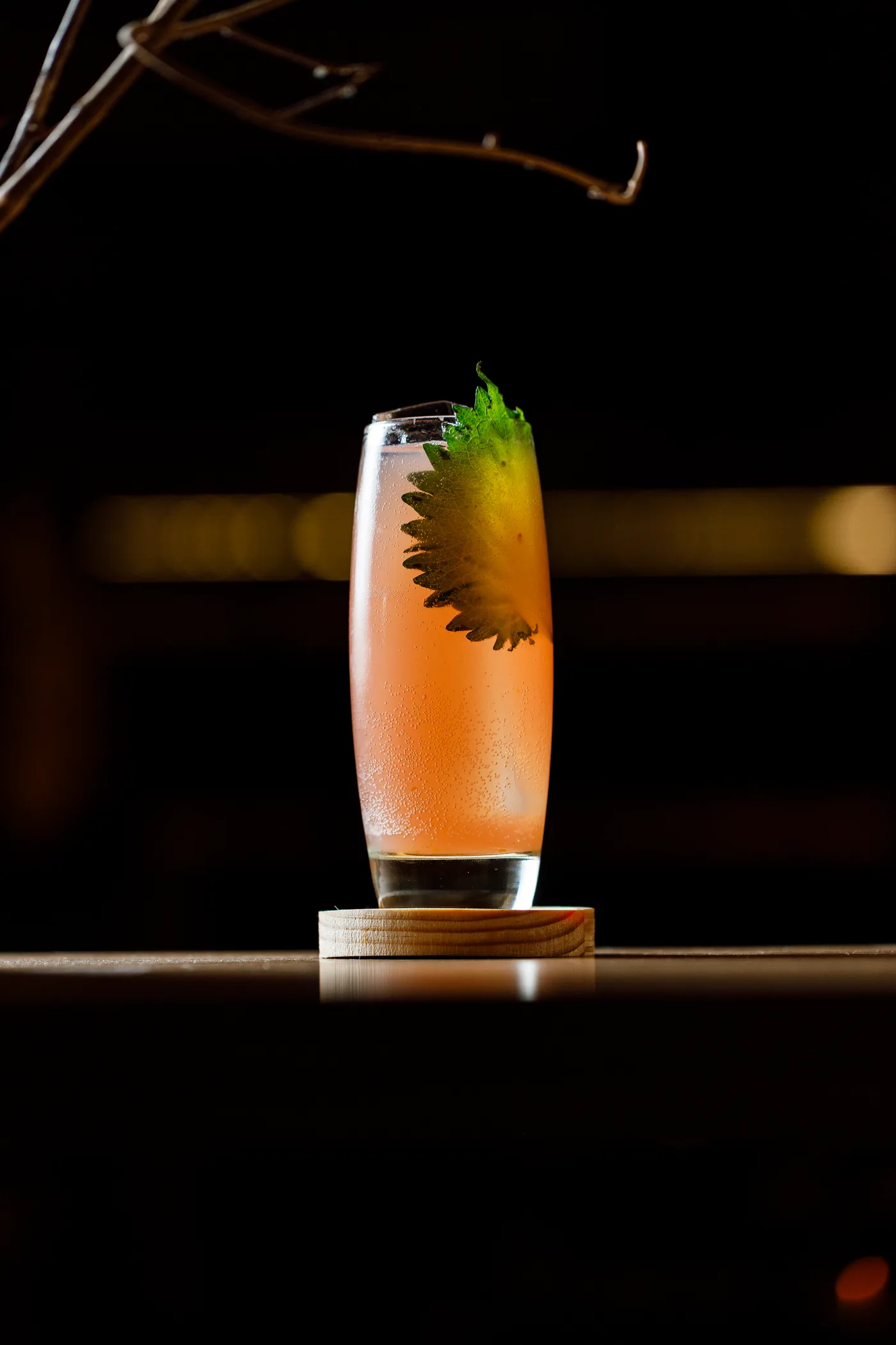 Drinks Mokutan — foto 28