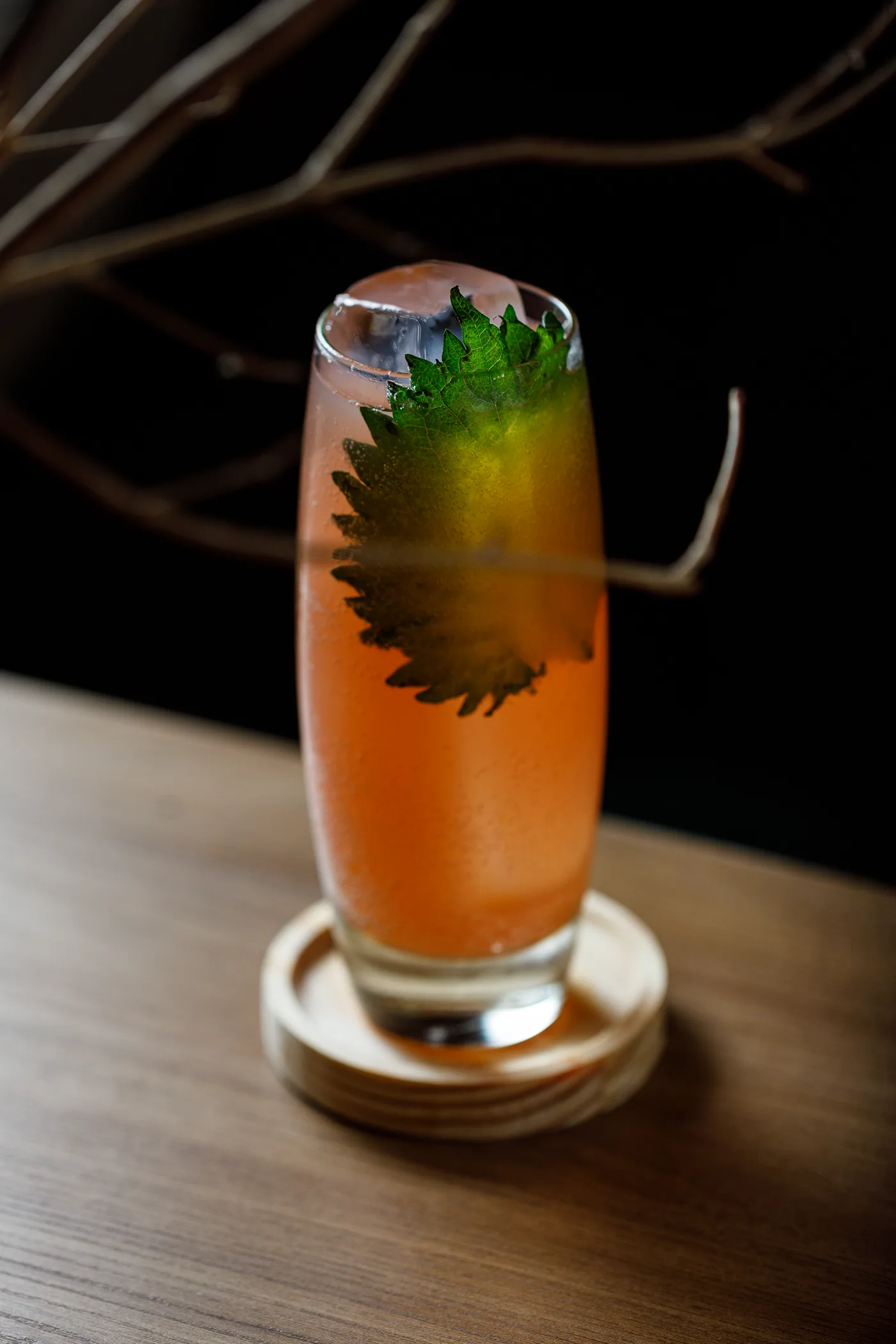 Drinks Mokutan — foto 29